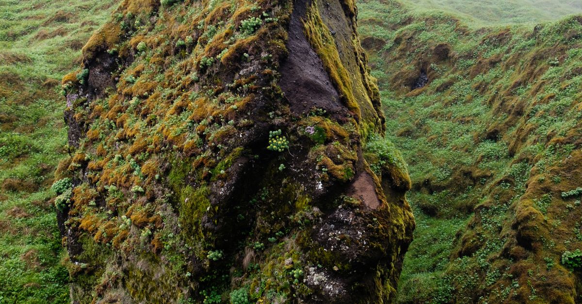 Moss Formations On Rocks Rock Formation in Moss · Free Stock Photo