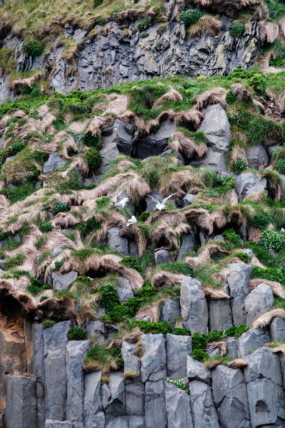 Basalt Rocks Hill Basalt Rocks, Iceland · Free Stock Photo