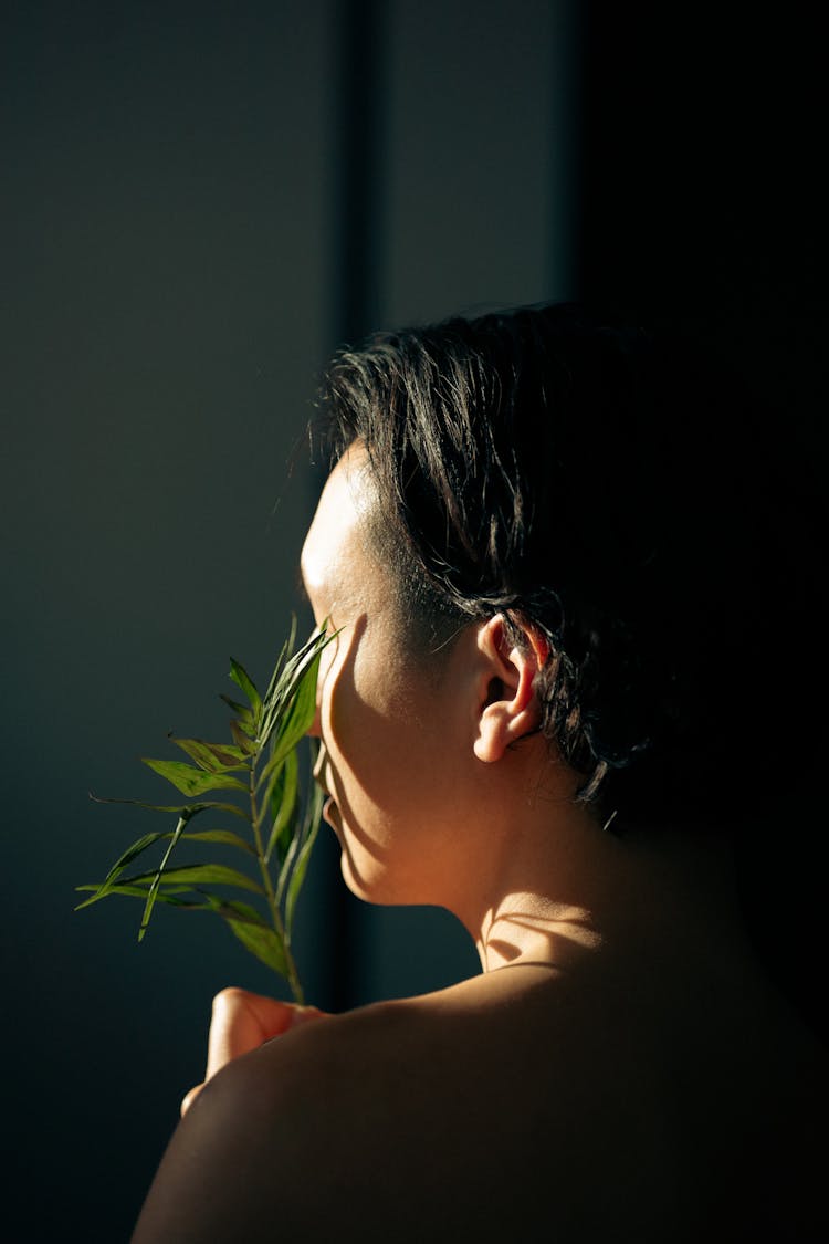 Woman With Green Plant In Sunlight 