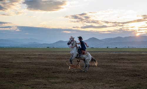 Man Riding a Horse at Sunset 