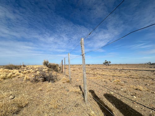 Campo alambrado en la vasta estepa de la Patagonia