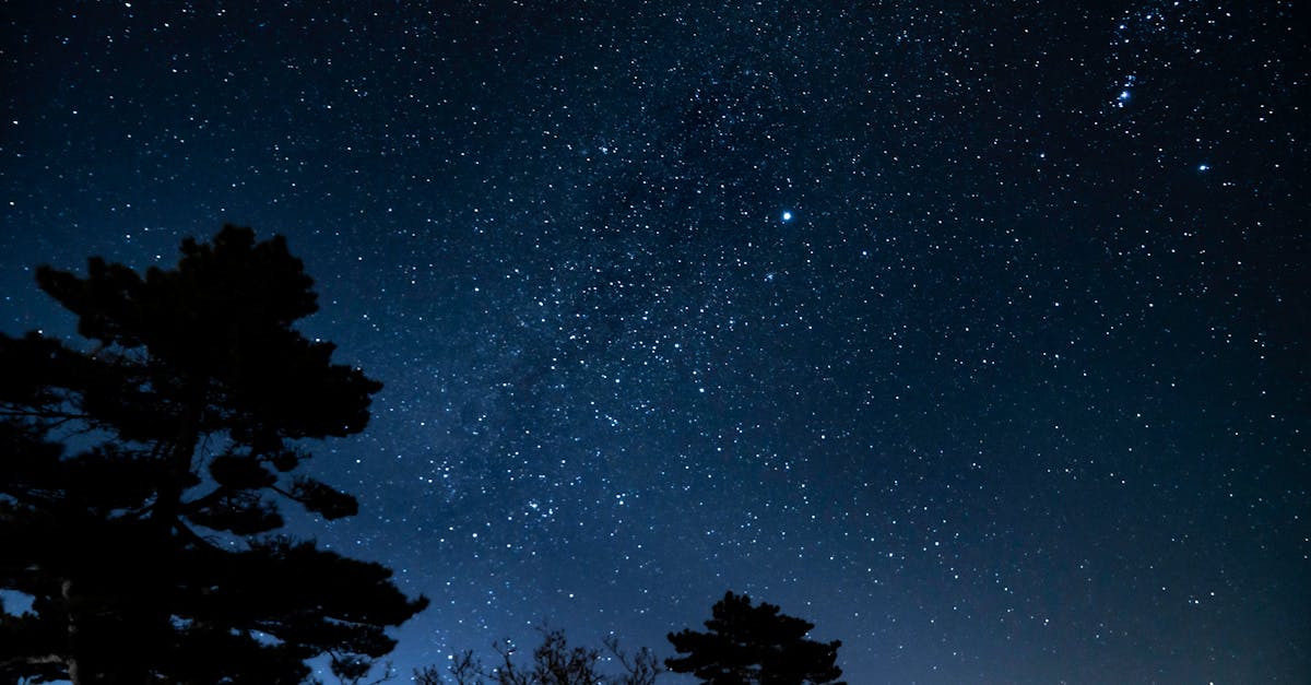 The Beekeeper’s Compass 1 image text