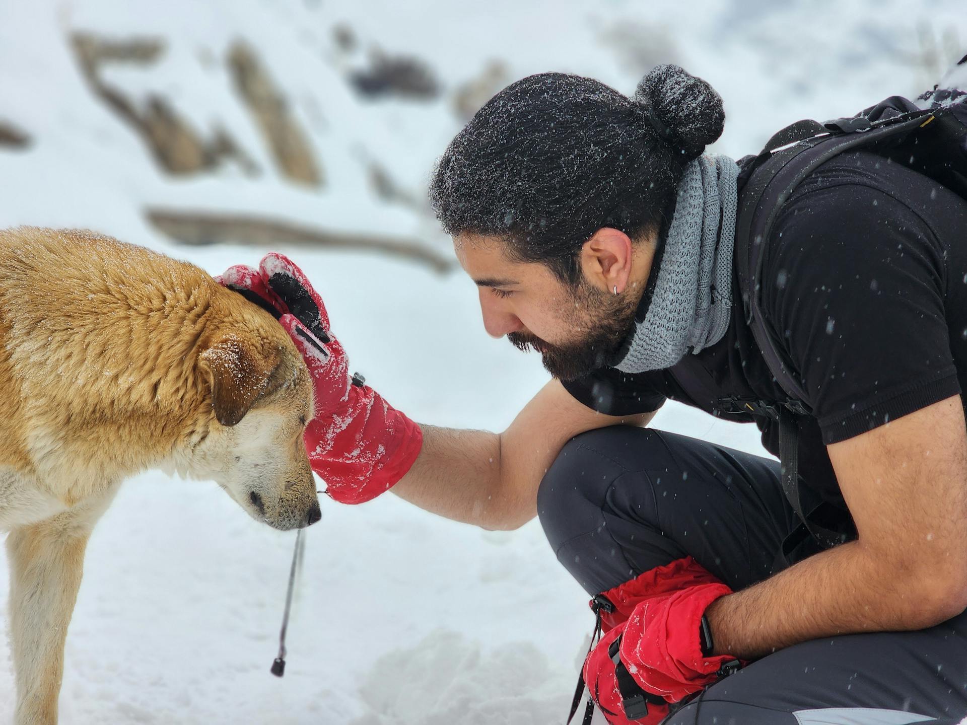 Bearded Man in Red Gloves Touching Dog in Winter