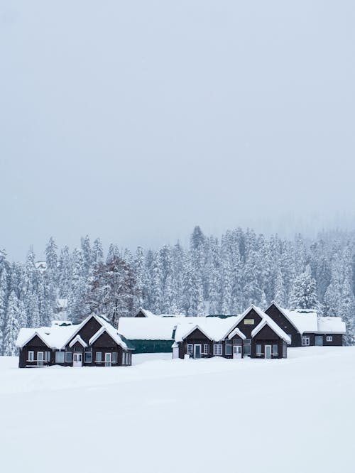 Ilmainen kuvapankkikuva tunnisteilla 4k taustakuva, 8 k taustakuva, alppimaja