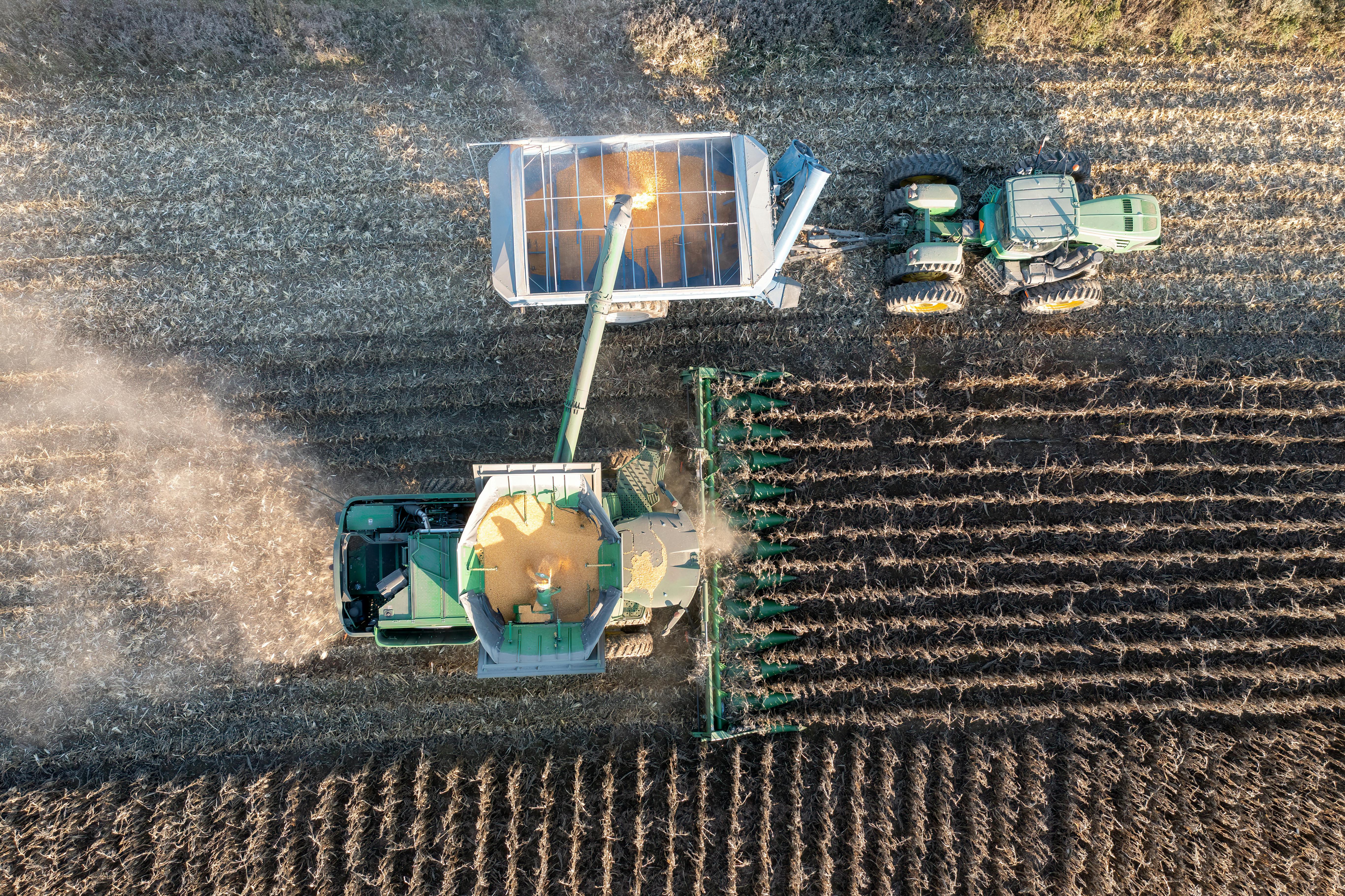 Year-end financial planning for farmers — Photo by Tom Fisk on Pexels