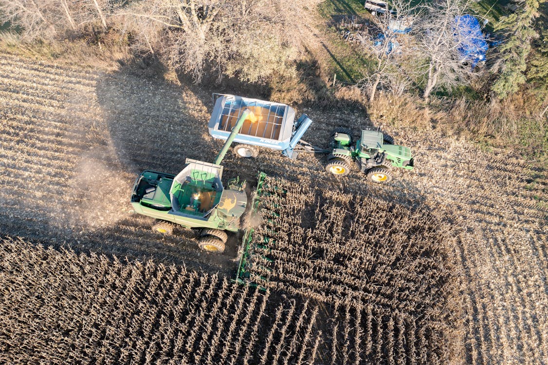 Aerial view of a combine harvesting corn