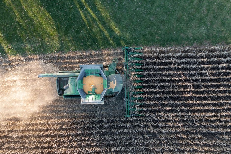 Cele mai mari provocări și oportunități pentru agricultura ecologică din Oltenia în 2026