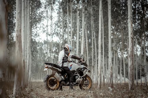 Free A biker on a motorcycle rides through a serene forest, showcasing adventure and exploration. Stock Photo