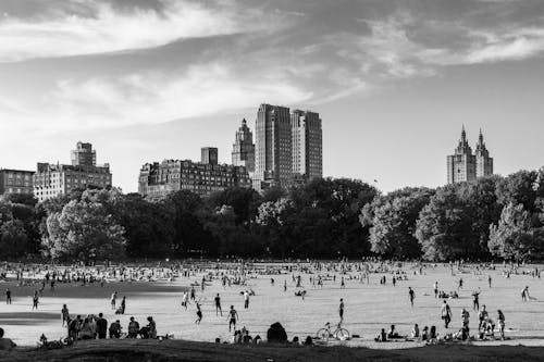 Základová fotografie zdarma na téma central park, černobílý, léto