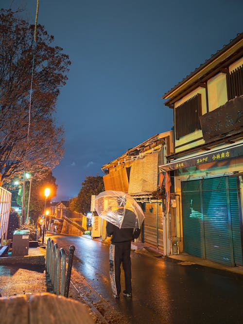 Kyoto Rain