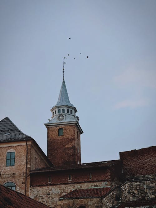 A clock tower with birds flying around it