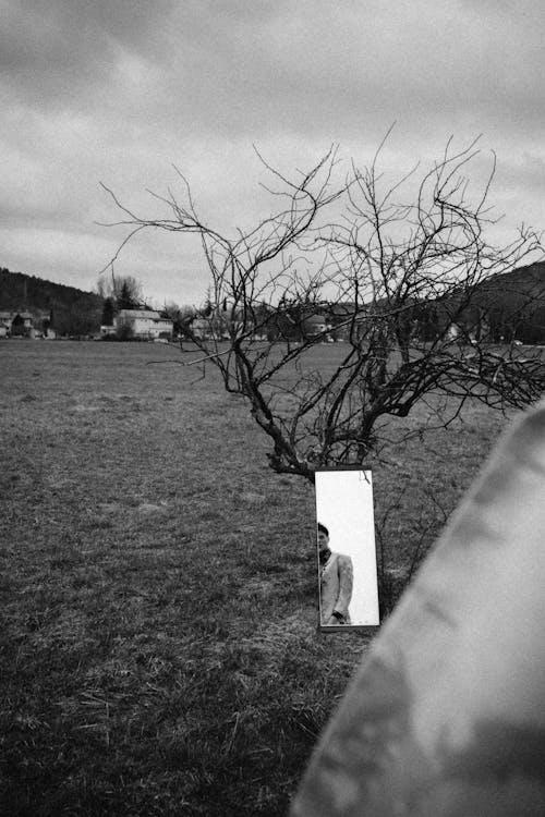 A black and white photo of a tree with a mirror