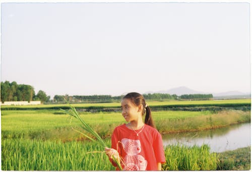 akarsu, Asya, çim içeren Ücretsiz stok fotoğraf