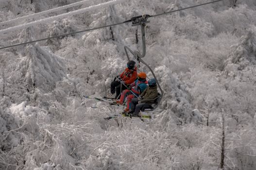 Group of skiers riding a chairlift over a snow-covered forest during winter, showcasing winter sports and leisure.