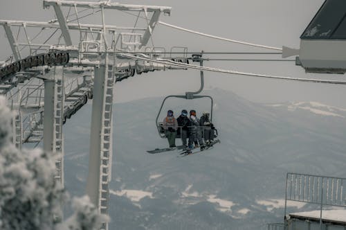 คลังภาพถ่ายฟรี ของ การเล่นสกี, ต้นสน, ที่นั่ง