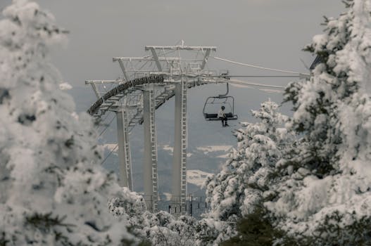 A solitary ski lift ascending through snow-laden trees at a winter ski resort.