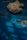 sea life