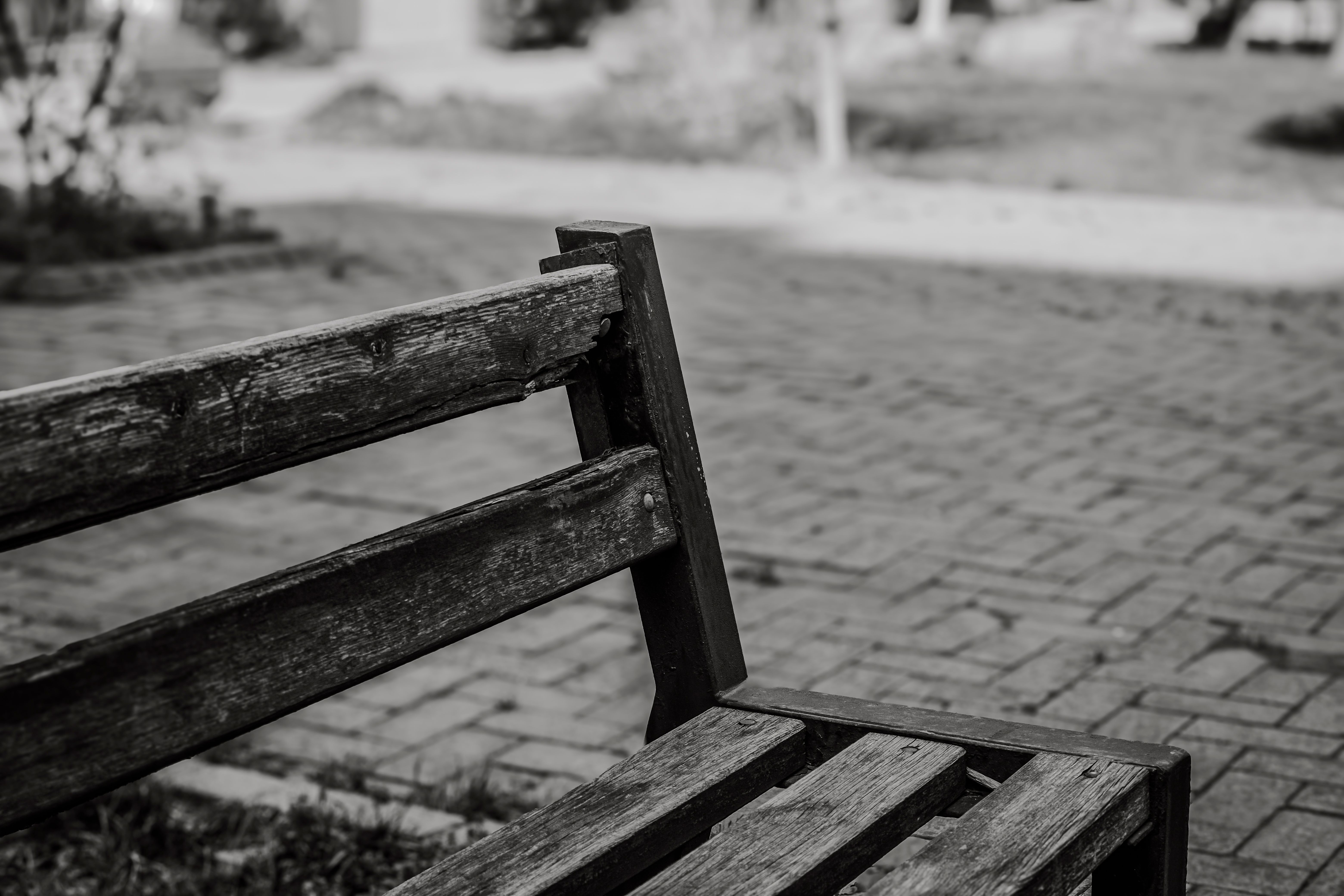 The ultimate outdoor workout: all you need is a park bench — Photo by Crab Lens on Pexels