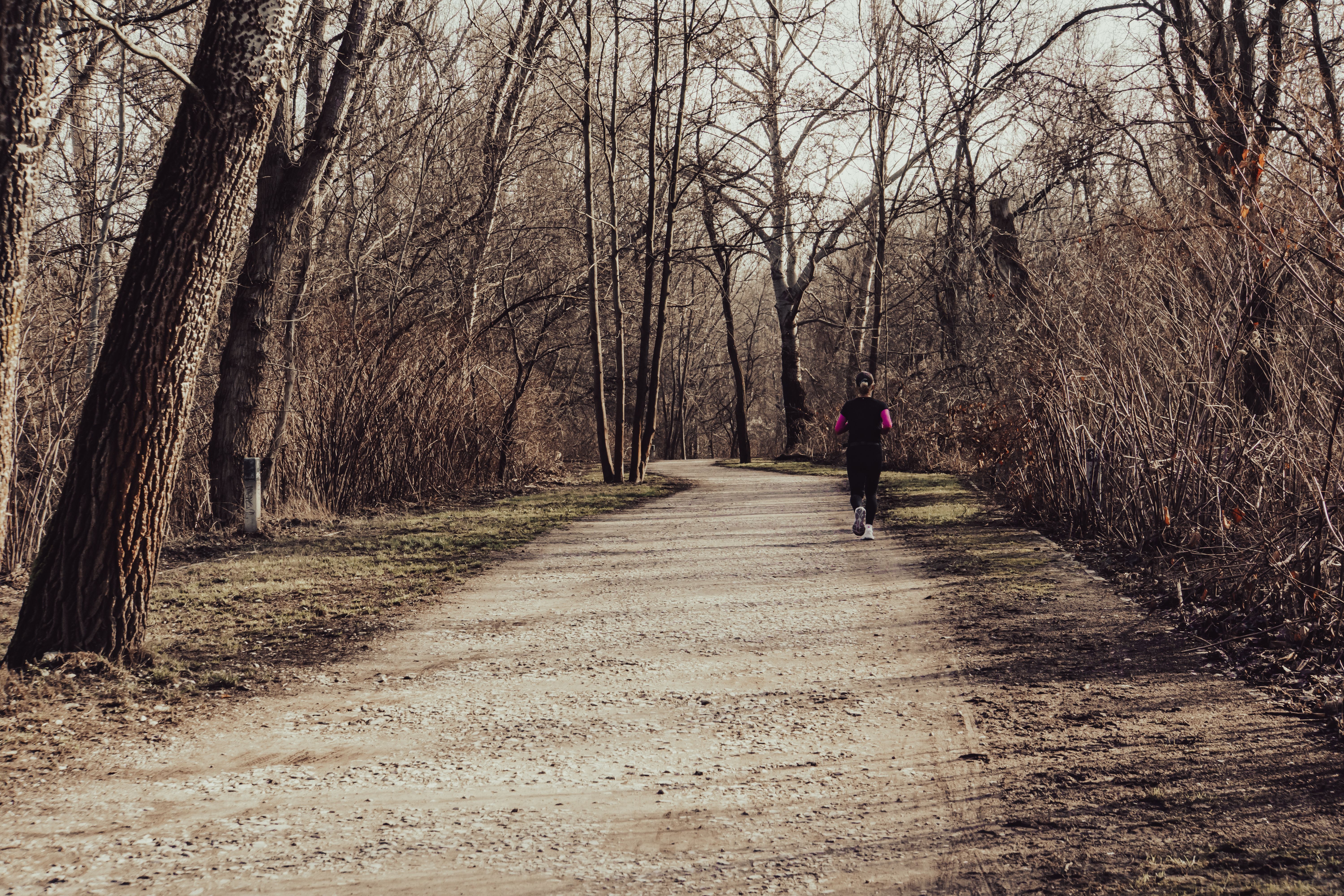 runner morning trail forest path