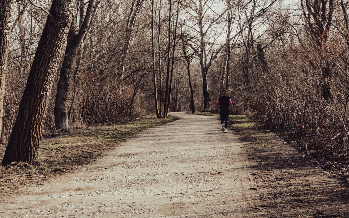 A person jogging on a forest path in Warsaw during autumn, surrounded by trees.