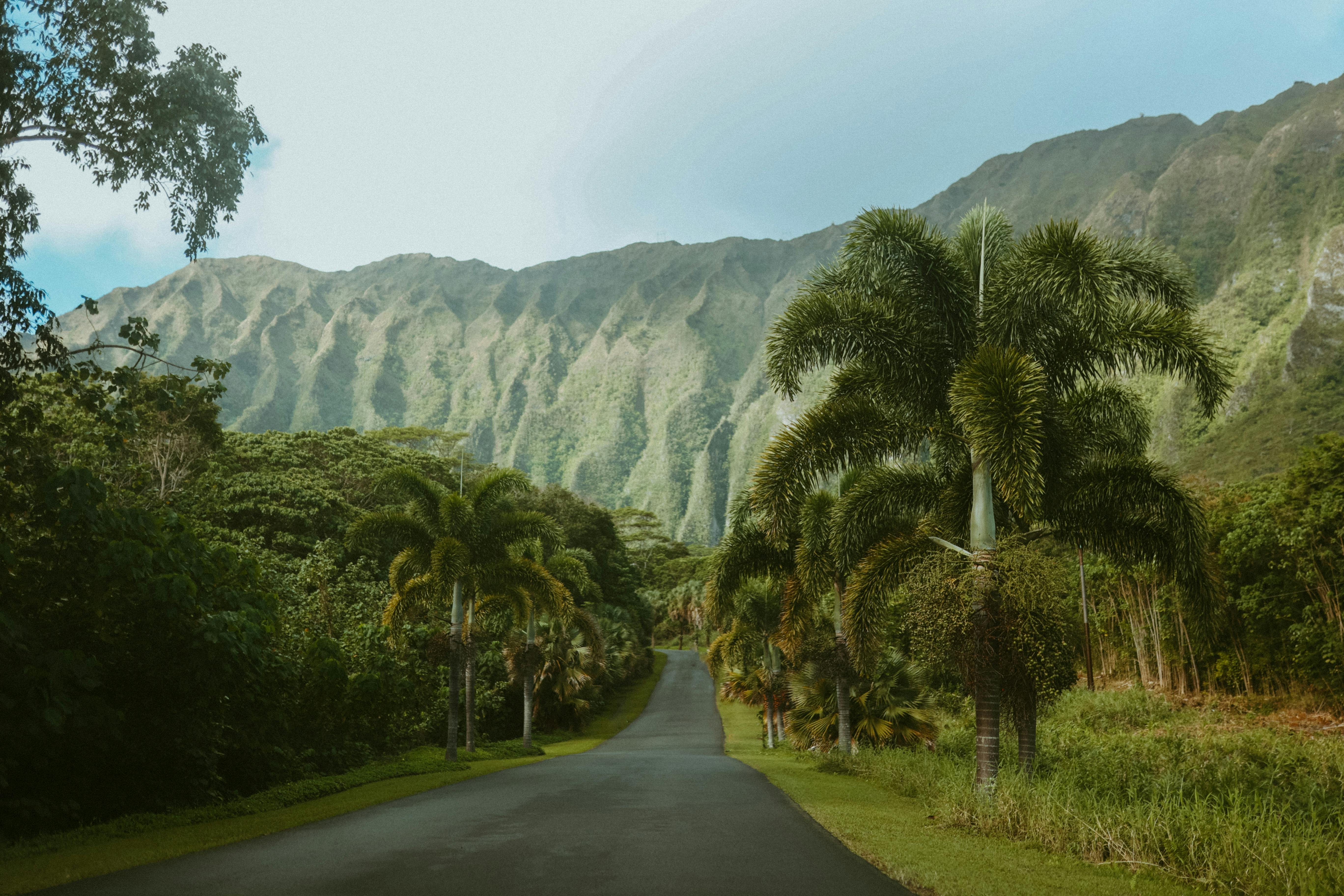 asphalt road on oahu island