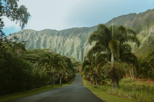 Free Ho'omaluhia Botanical Gardens  Stock Photo