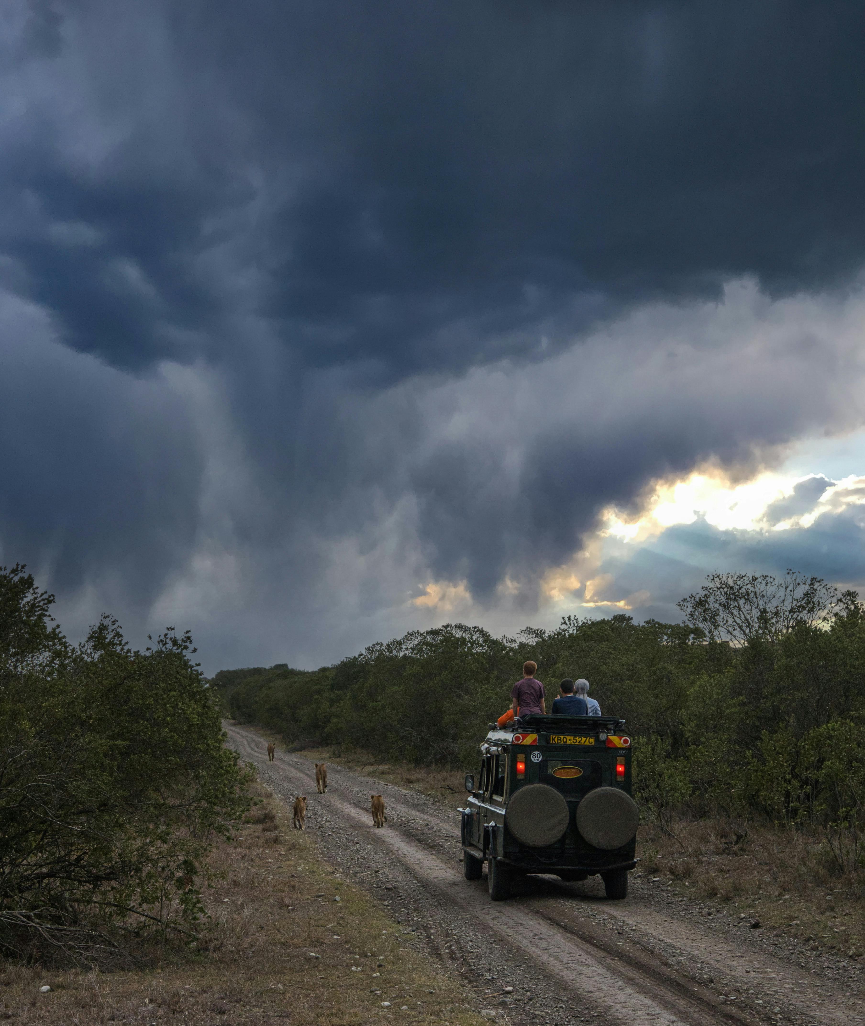 Off-road vehicle on safari track under dramatic storm clouds, capturing a thrilling adventure.