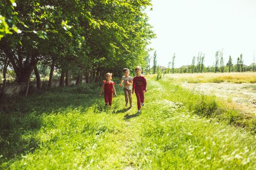 Free Three children joyfully running through a lush, sunlit rural meadow surrounded by trees. Stock Photo