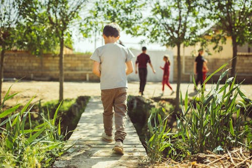 Back View of a Boy Walking on a Footbridge in a Park 