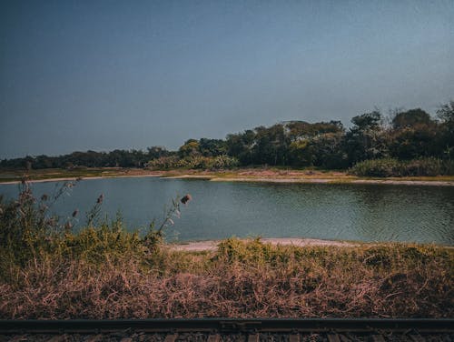 Free stock photo of lake, landscape, trees