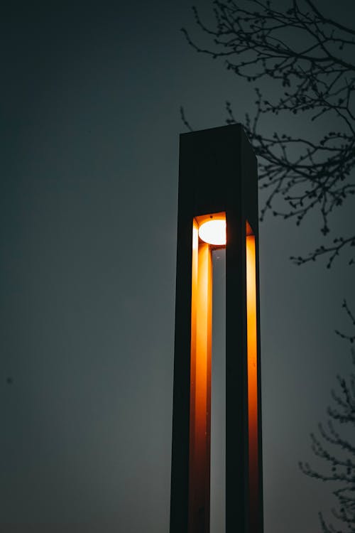 Black Lamp Post Near Tree