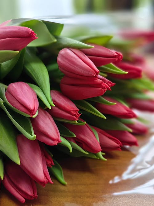 A bouquet of red tulips is on a table