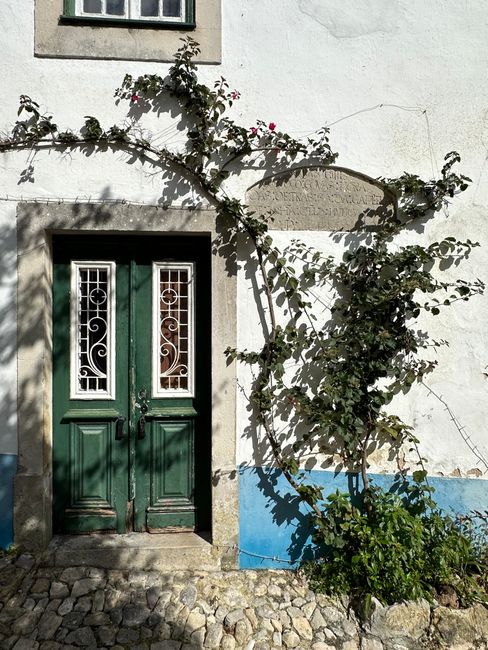 Green door with climbing plants in Óbidos, Portugal, lit by sunlight, casting unique shadows.