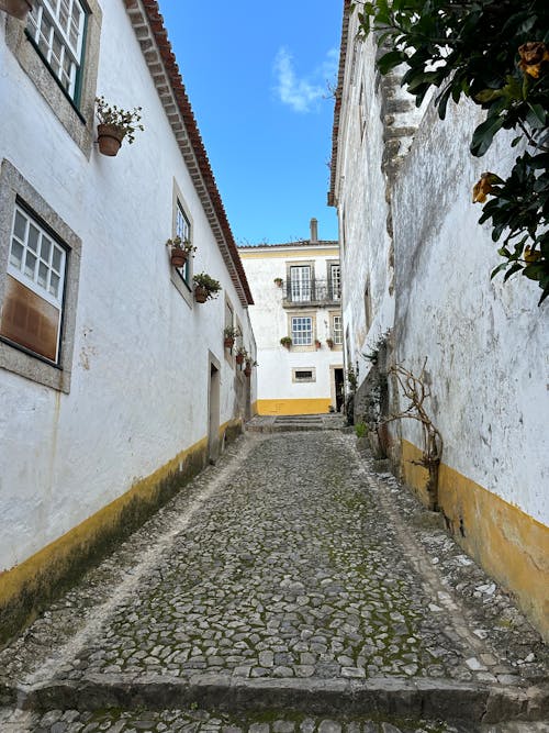 View of a Narrow Cobblestone Alley between Buildings 