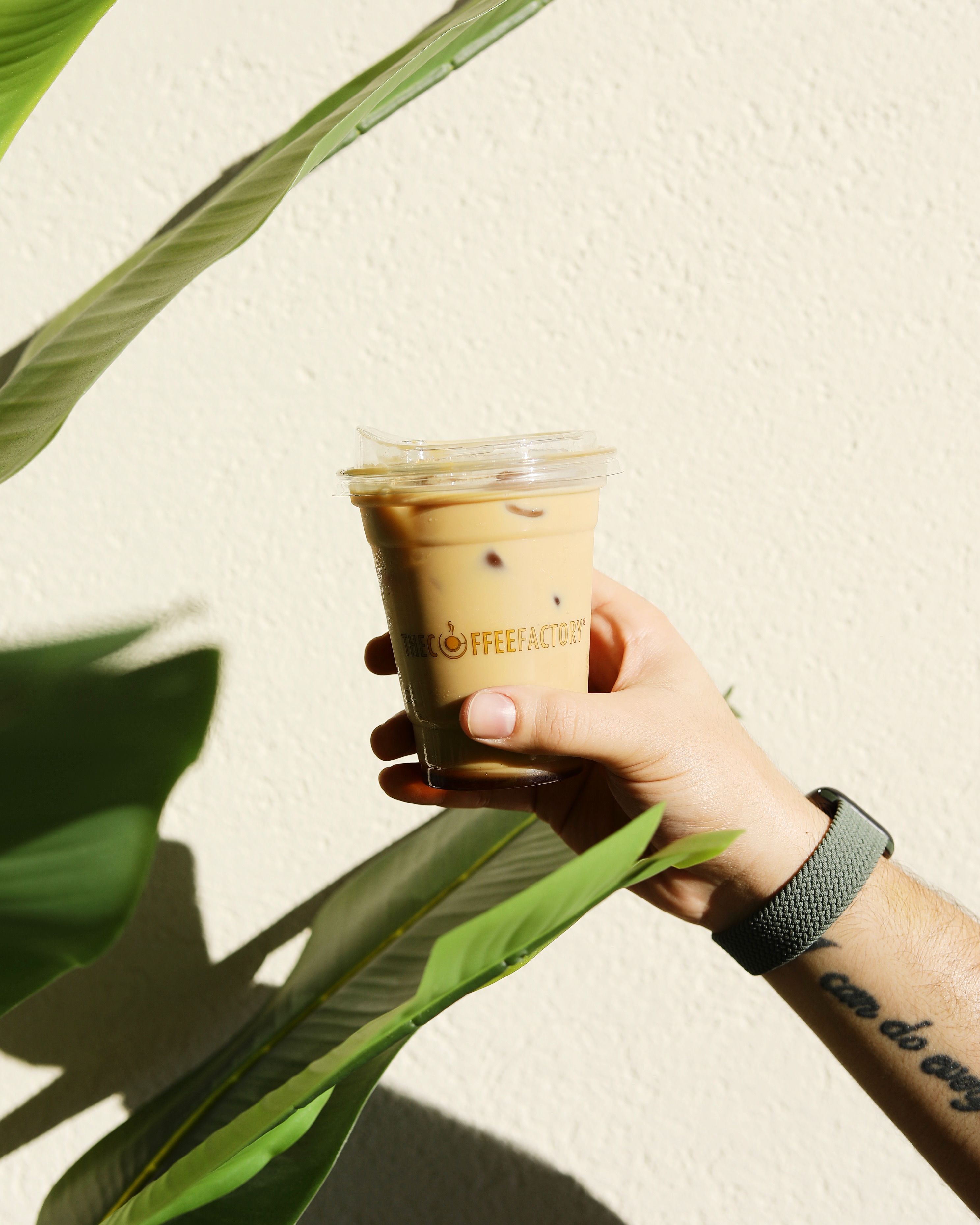 Iced Latte 12oz