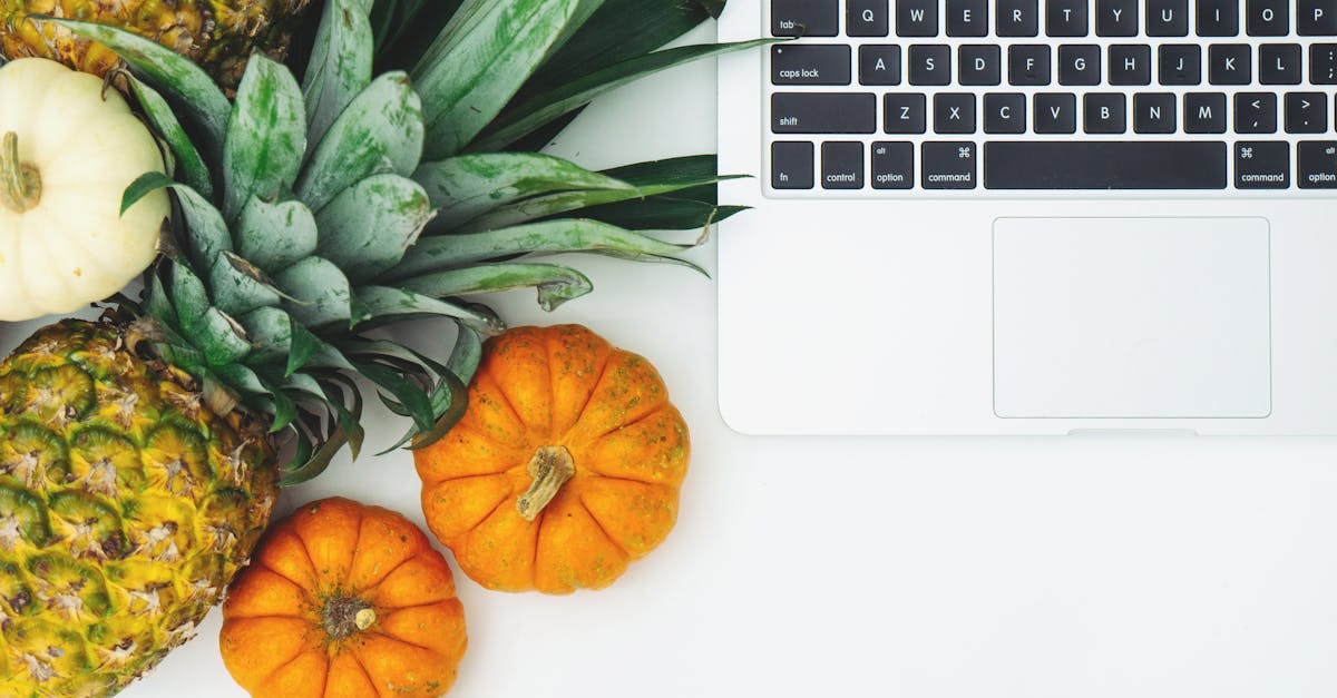 Pumpkins and Pineapple Next to Laptop