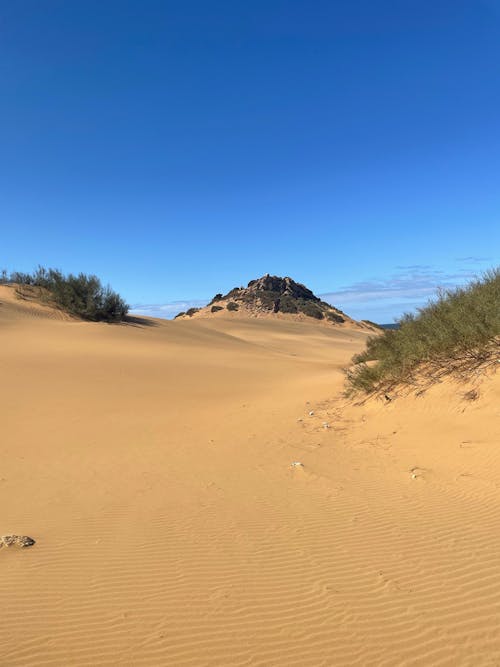 A sandy dune with a small hill in the background