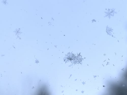 スノーフレーク, 冬, 白の無料の写真素材