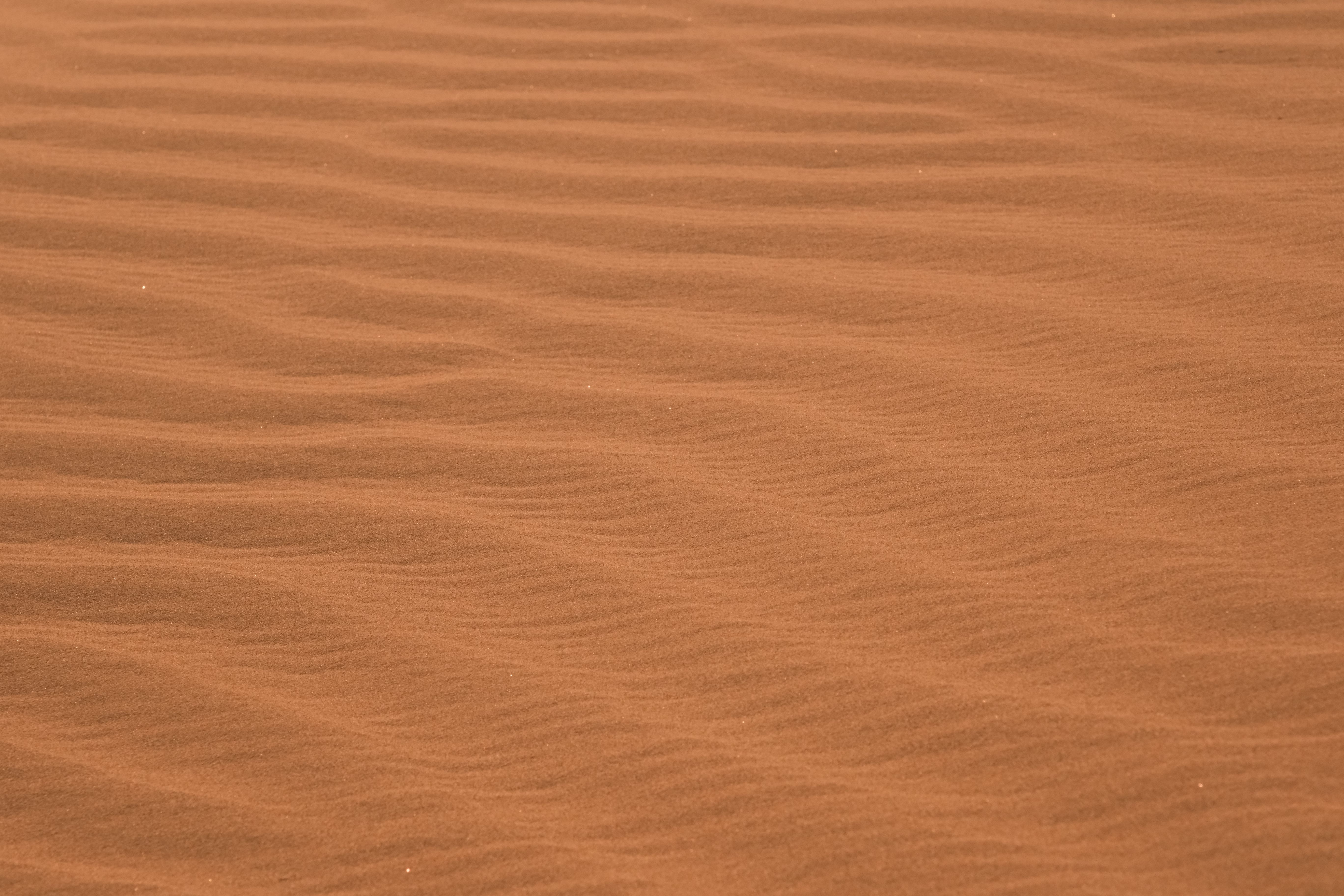 Zhongwei Shapotou Ningxia Guide 2026: Desert Meets Yellow River — Dunes, Rafting & Sandboarding