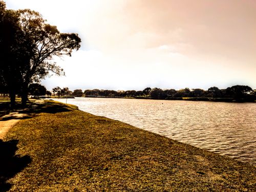 Free Parque Stock Photo