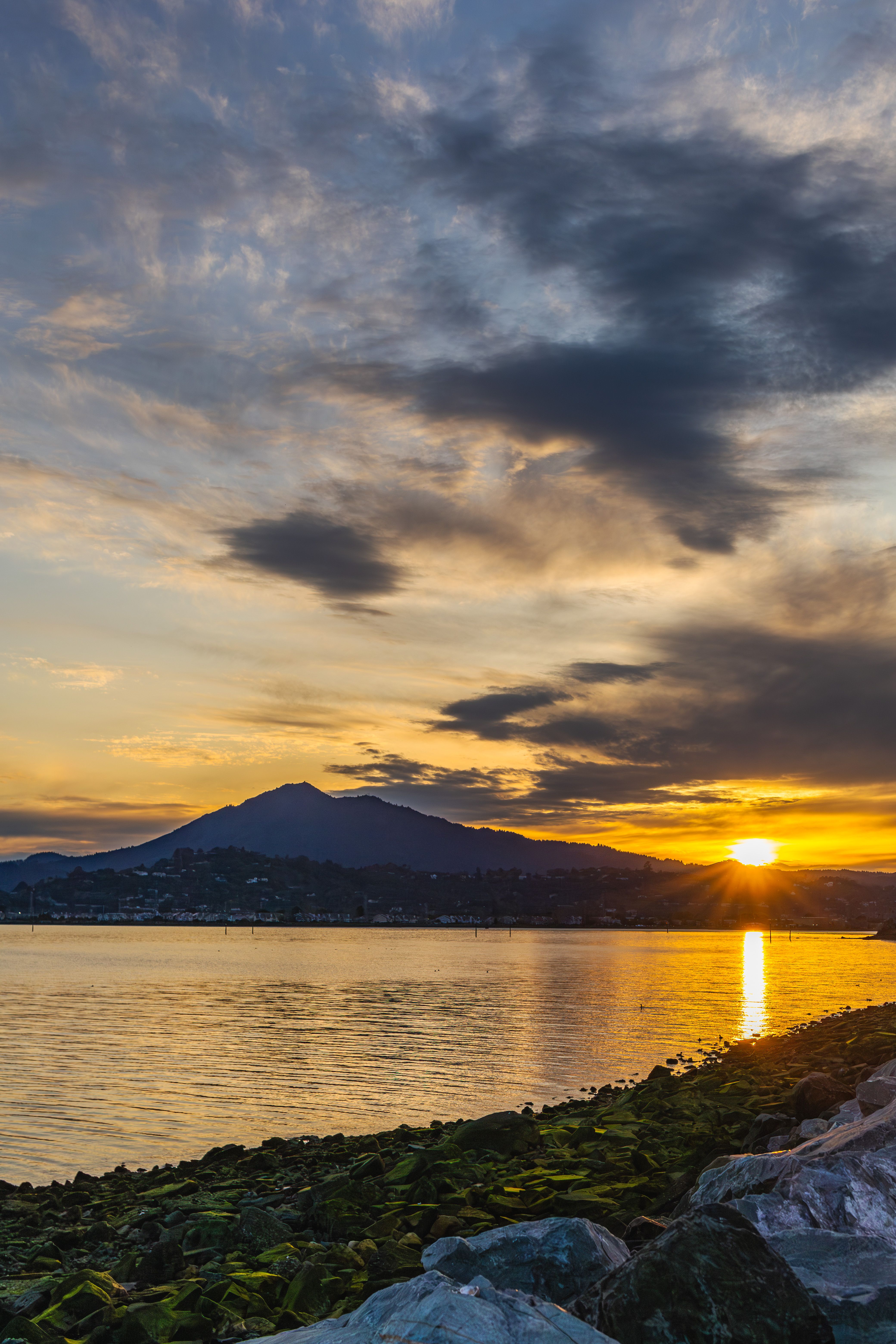 Sunset at the Bay · Free Stock Photo