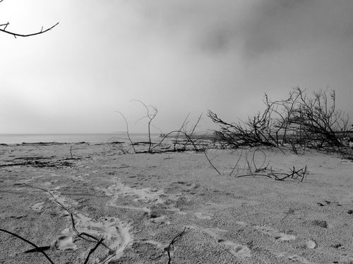 Free Praia deserta Stock Photo