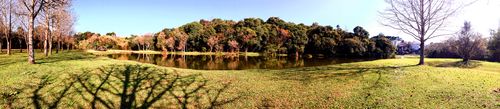 Free Parque com lago Stock Photo
