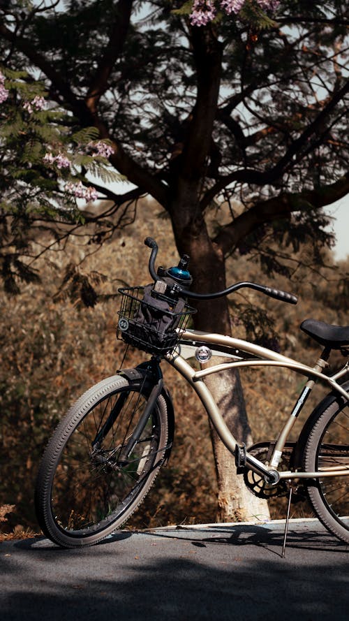 Bike Parked next to a Tree