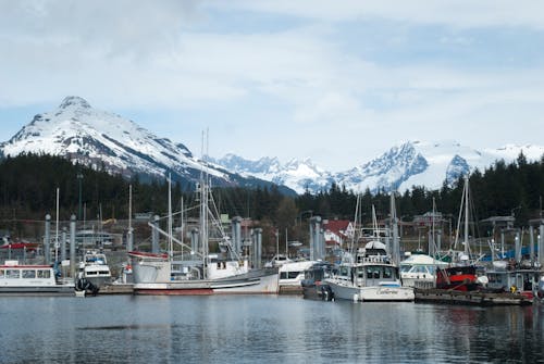 Juneau Harbour