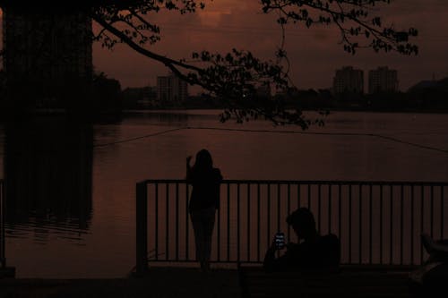 Základová fotografie zdarma na téma krásná obloha