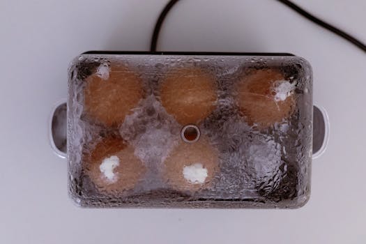 Top view of eggs being cooked in an electric egg steamer with mist on lid.
