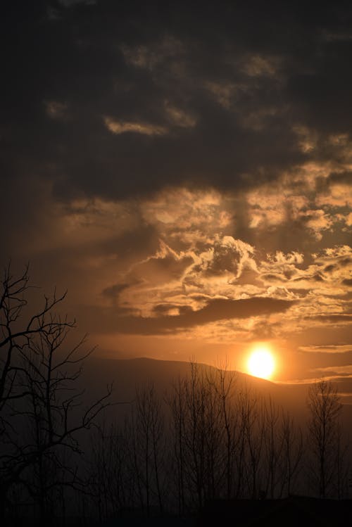 The sun is setting behind some trees and clouds