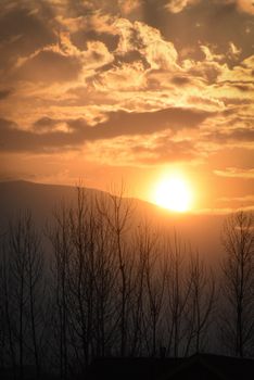 Captured during twilight, the sun sets over silhouetted trees creating a dramatic sky.