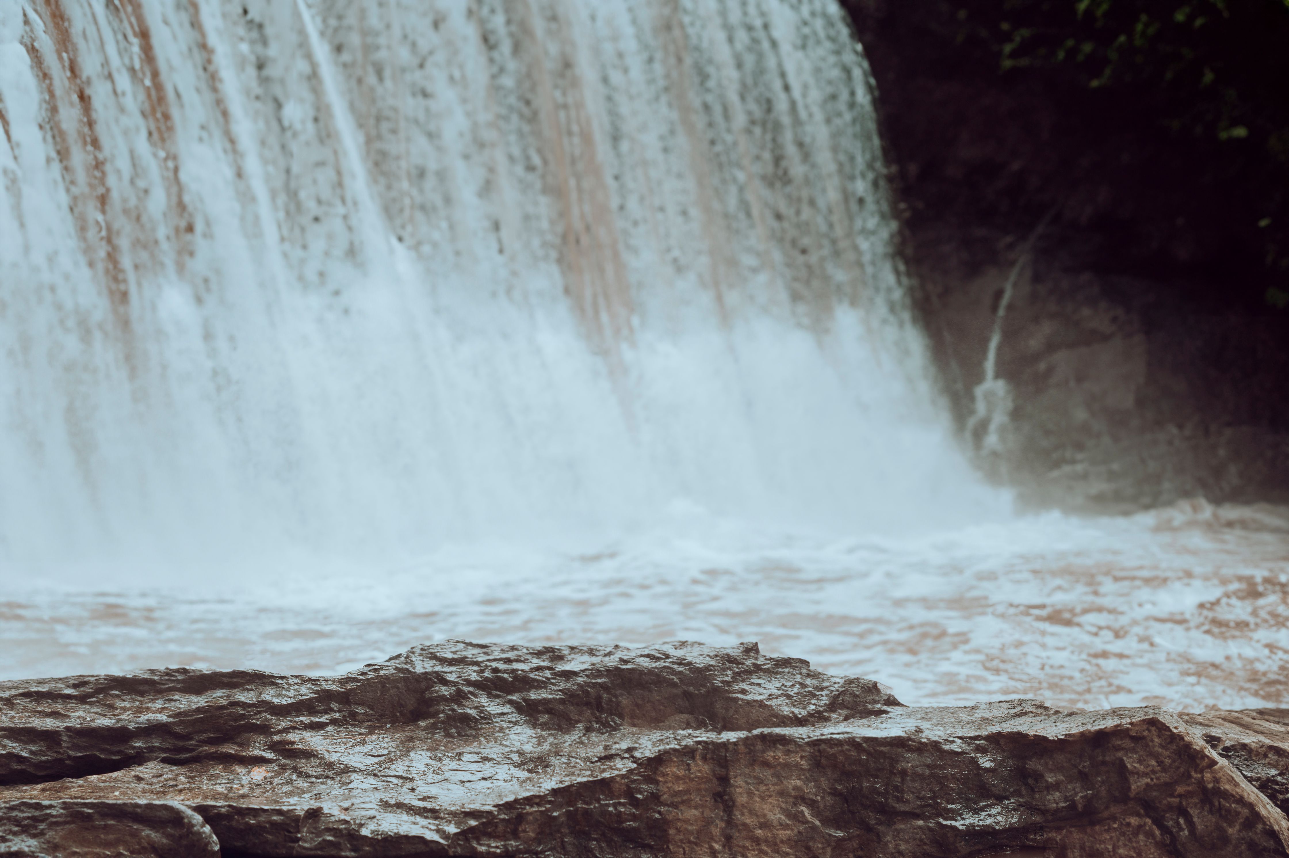 Video: Roswell Park Ph.D. students push for affordable health insurance — Photo by Seats Photographix on Pexels
